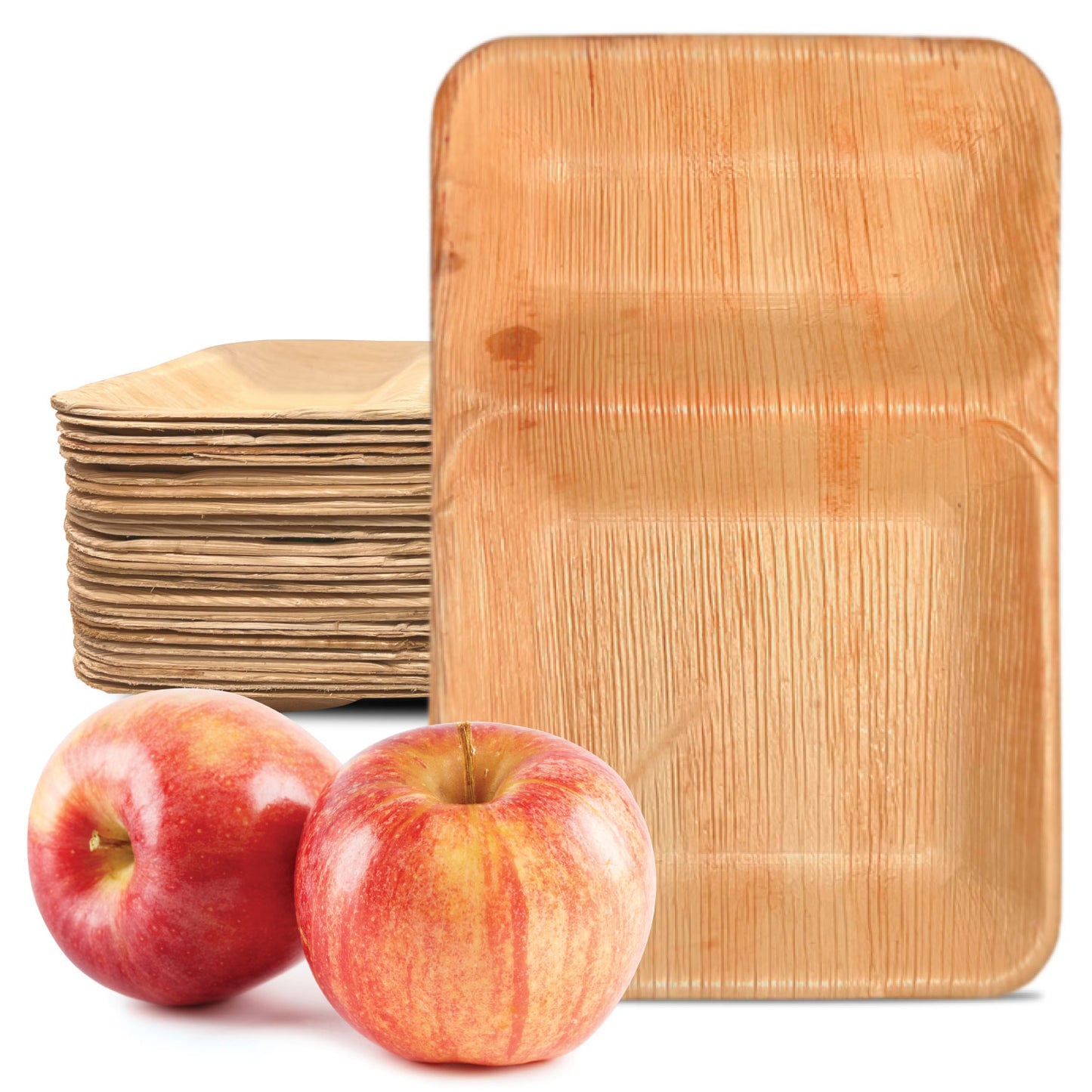 Verde Planet - 10.5" Rect 2 Compartment Palm Leaf Plate, USDA Certified, Compostable | Case of 200