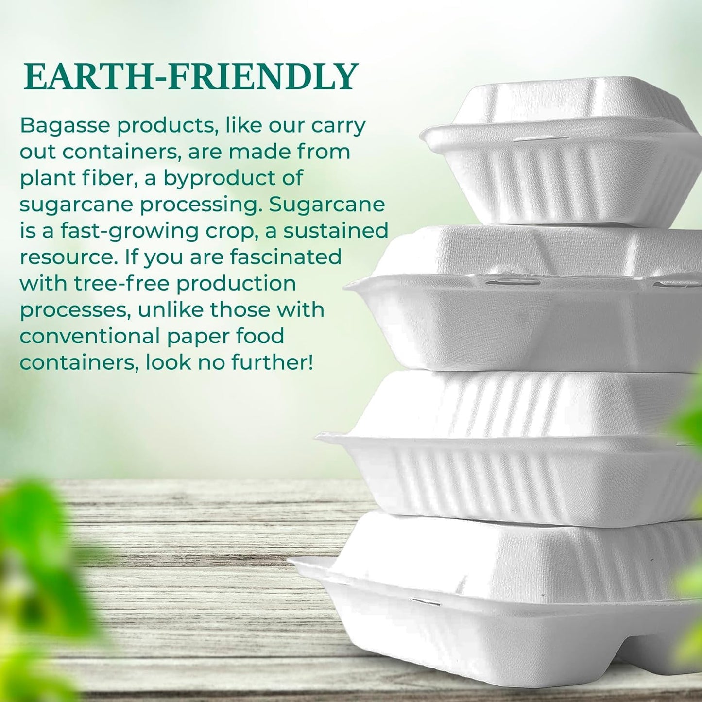 Verde Planet - 10" 3 Compartment Clamshell Sugarcane Take-out Container, Compostable | Pack of 50